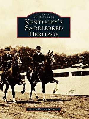 cover image of Kentucky's Saddlebred Heritage